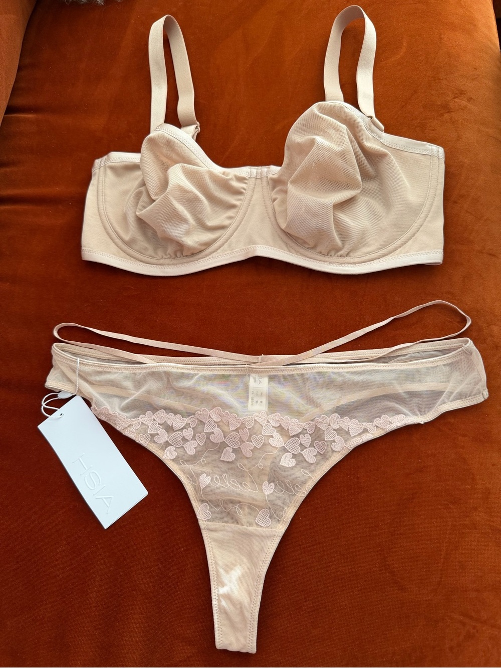 Sexy Nude Sheer HSIA Balconette Bra Removable Straps 36D Thong Panties M NWT